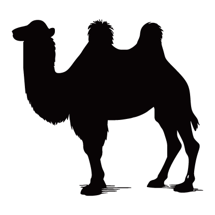 Camel Products