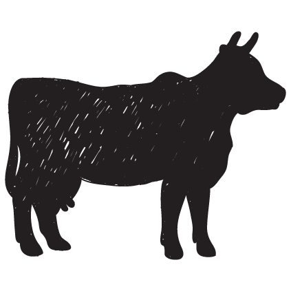 Beef Products