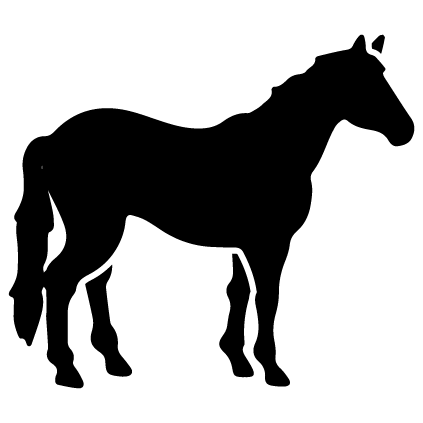 Horse Produtcs